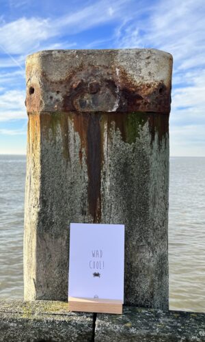 Waddenkaart wad cool met krab