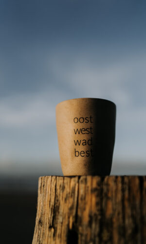 Waddenmokje OWWB zand