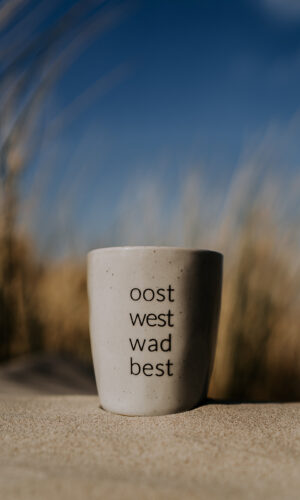 Waddenmokje OWWB zeegrijs