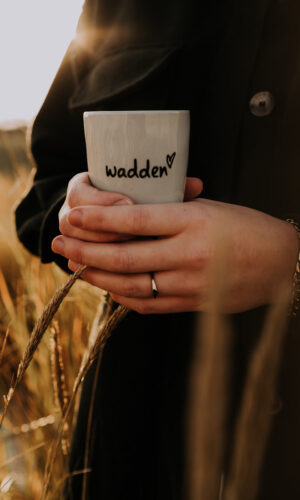 Waddenmokje Wadden zeegrijs