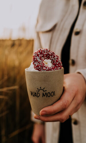 Waddenmokje Wad mooi zand