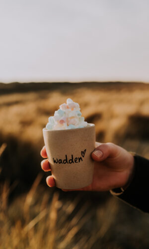 Waddenmokje Wadden zand