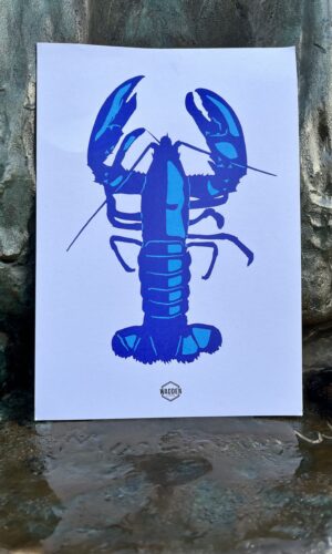 Waddenkaart kreeft A5