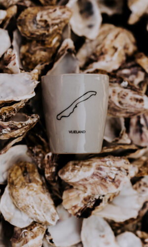 Waddenmokje Vlieland zeegrijs eiland