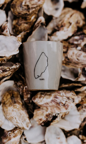 Waddenmokje Texel zeegrijs eiland