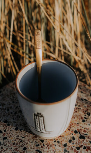 Waddenlepeltje Terschelling vuurtoren