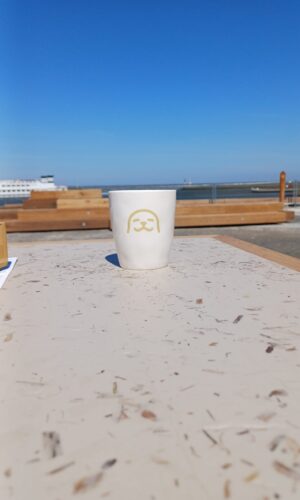 WEC-mokje zeehond zand