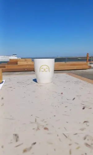 WEC-mokje zeehond zand