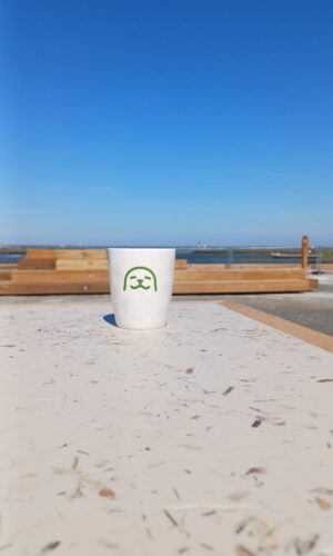 WEC-mokje zeehond alsem