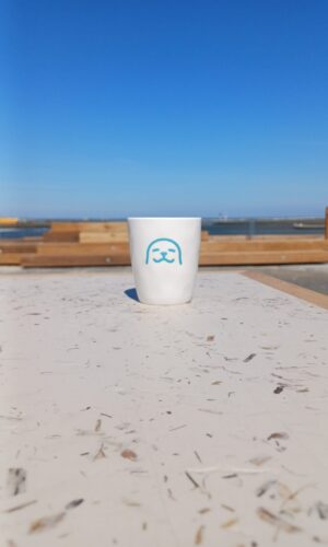 WEC-mokje zeehond water