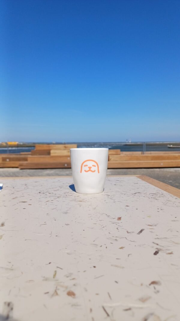 WEC-mokje zeehond boei
